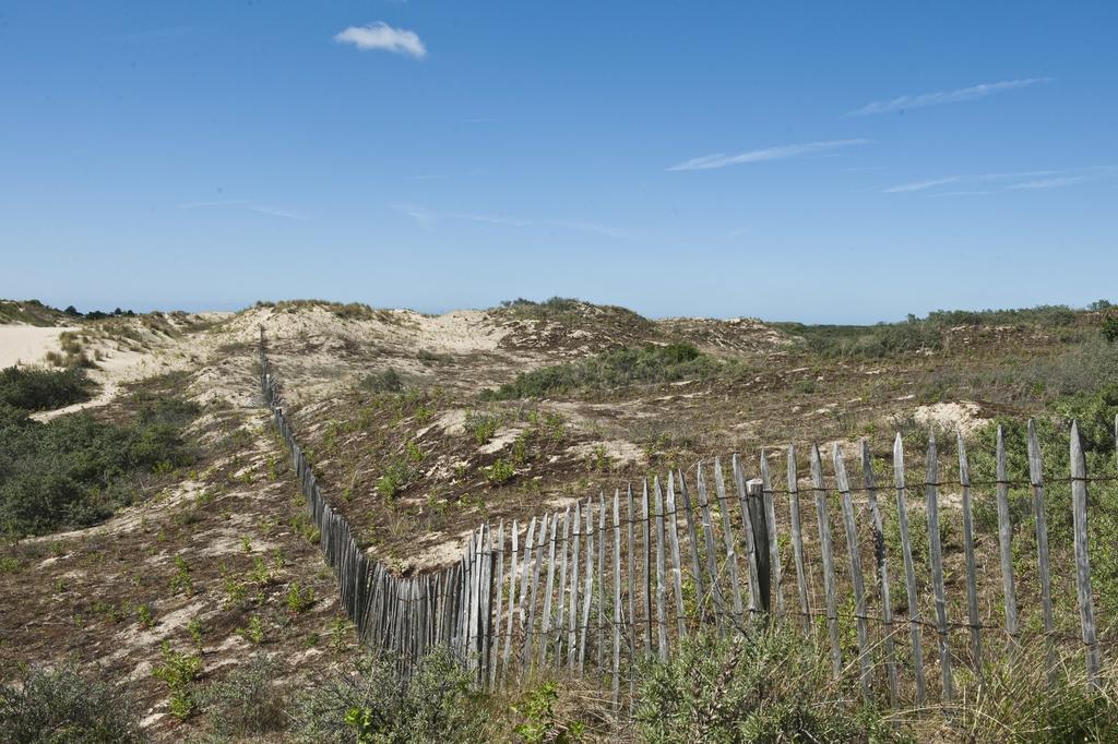 Evancy Etoile Des Dunes Bray-Dunes Esterno foto