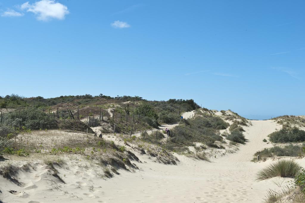 Evancy Etoile Des Dunes Bray-Dunes Esterno foto