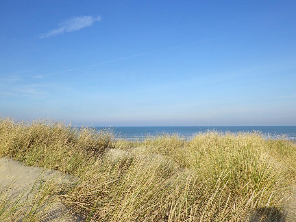 Evancy Etoile Des Dunes Bray-Dunes Esterno foto